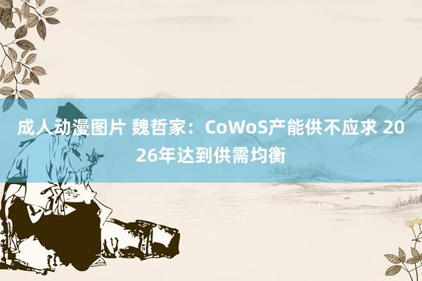 成人动漫图片 魏哲家：CoWoS产能供不应求 2026年达到供需均衡