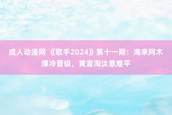 成人动漫网 《歌手2024》第十一期：海来阿木爆冷晋级，黄宣淘汰意难平