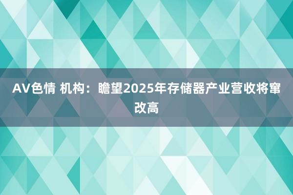 AV色情 机构：瞻望2025年存储器产业营收将窜改高