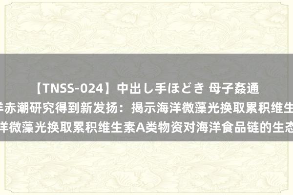 【TNSS-024】中出し手ほどき 母子姦通 上原さゆり 暨南大学海洋赤潮研究得到新发扬：揭示海洋微藻光换取累积维生素A类物资对海洋食品链的生态效应