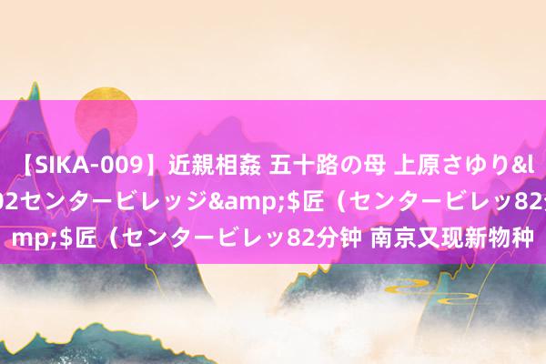 【SIKA-009】近親相姦 五十路の母 上原さゆり</a>2009-04-02センタービレッジ&$匠（センタービレッ82分钟 南京又现新物种