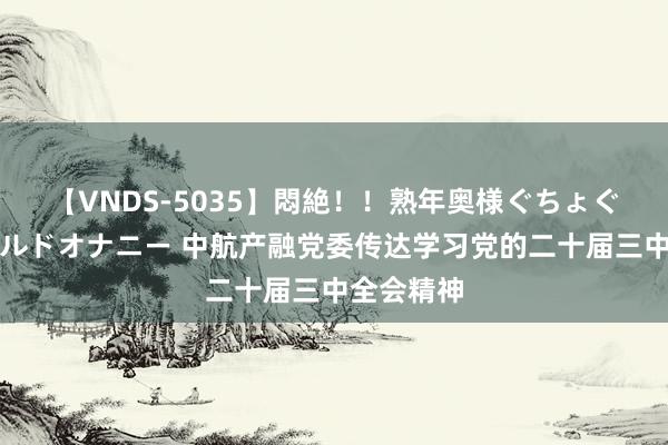 【VNDS-5035】悶絶！！熟年奥様ぐちょぐちょディルドオナニー 中航产融党委传达学习党的二十届三中全会精神