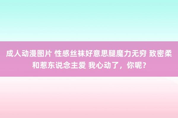 成人动漫图片 性感丝袜好意思腿魔力无穷 致密柔和惹东说念主爱 我心动了，你呢？