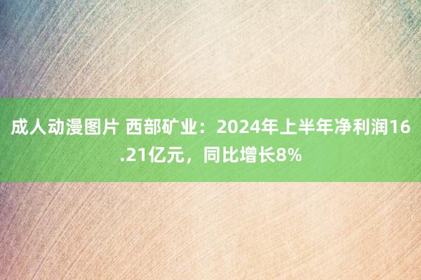 成人动漫图片 西部矿业：2024年上半年净利润16.21亿元，同比增长8%