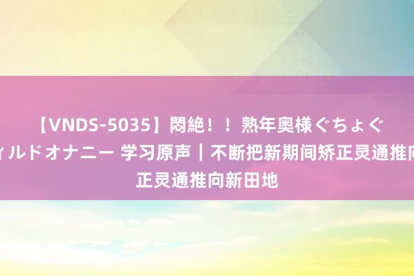 【VNDS-5035】悶絶！！熟年奥様ぐちょぐちょディルドオナニー 学习原声｜不断把新期间矫正灵通推向新田地