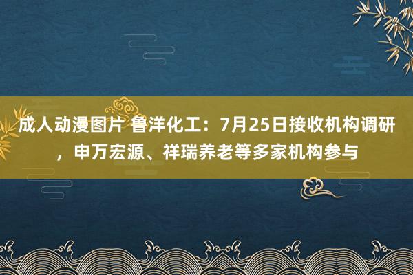 成人动漫图片 鲁洋化工：7月25日接收机构调研，申万宏源、祥瑞养老等多家机构参与