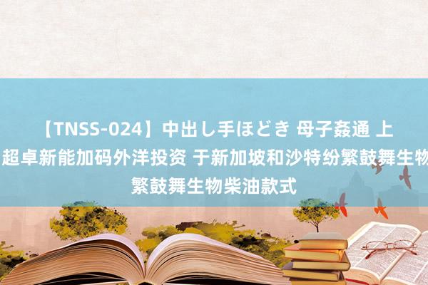 【TNSS-024】中出し手ほどき 母子姦通 上原さゆり 超卓新能加码外洋投资 于新加坡和沙特纷繁鼓舞生物柴油款式