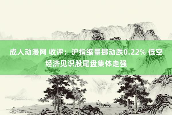 成人动漫网 收评：沪指缩量挪动跌0.22% 低空经济见识股尾盘集体走强