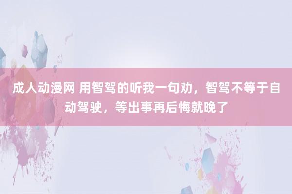 成人动漫网 用智驾的听我一句劝，智驾不等于自动驾驶，等出事再后悔就晚了