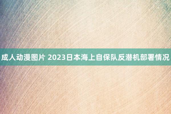 成人动漫图片 2023日本海上自保队反潜机部署情况