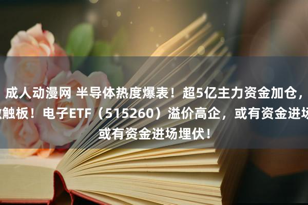 成人动漫网 半导体热度爆表！超5亿主力资金加仓，士兰微触板！电子ETF（515260）溢价高企，或有资金进场埋伏！