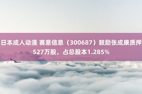 日本成人动漫 赛意信息（300687）鼓励张成康质押527万股，占总股本1.285%