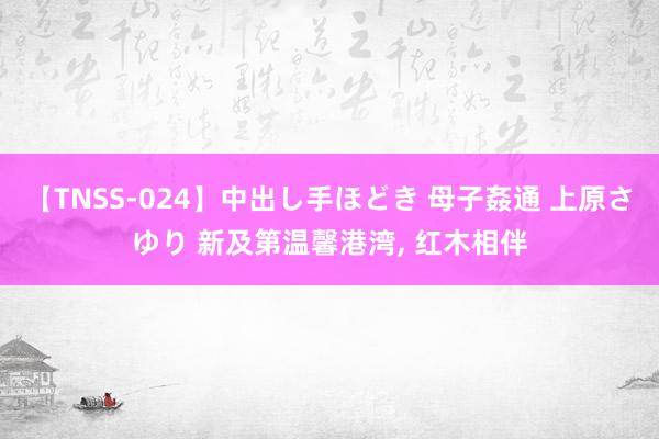 【TNSS-024】中出し手ほどき 母子姦通 上原さゆり 新及第温馨港湾， 红木相伴