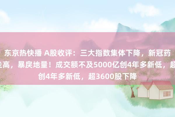 东京热快播 A股收评：三大指数集体下降，新冠药物环保逆市走高，暴戾地量！成交额不及5000亿创4年多新低，超3600股下降