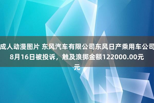 成人动漫图片 东风汽车有限公司东风日产乘用车公司8月16日被投诉，触及浪掷金额122000.00元