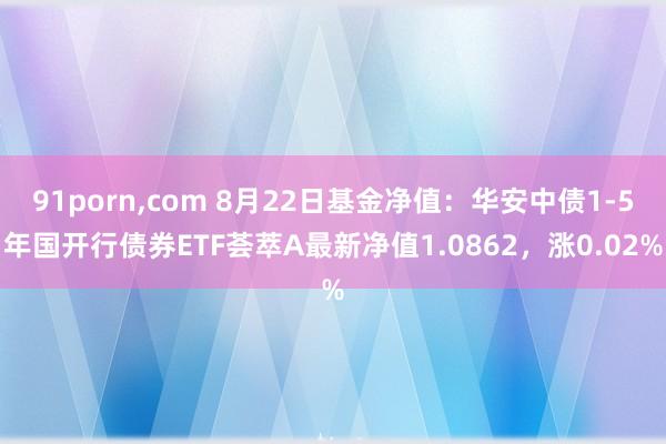 91porn，com 8月22日基金净值：华安中债1-5年国开行债券ETF荟萃A最新净值1.0862，涨0.02%