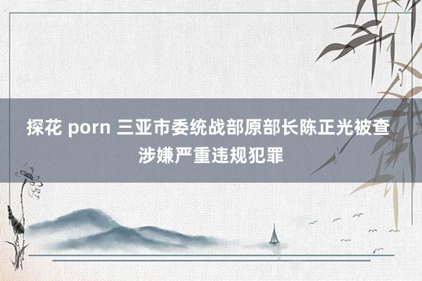 探花 porn 三亚市委统战部原部长陈正光被查 涉嫌严重违规犯罪