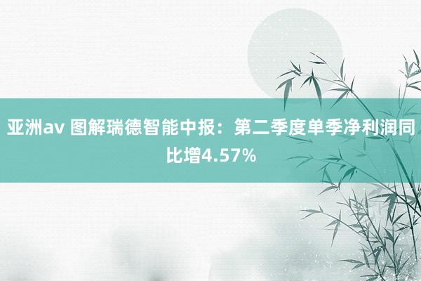 亚洲av 图解瑞德智能中报：第二季度单季净利润同比增4.57%