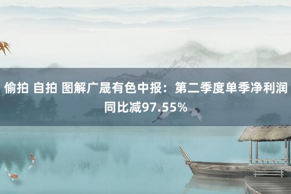 偷拍 自拍 图解广晟有色中报：第二季度单季净利润同比减97.55%