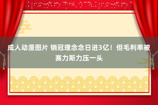 成人动漫图片 销冠理念念日进3亿！但毛利率被赛力斯力压一头