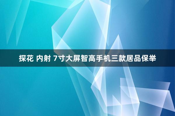 探花 内射 7寸大屏智高手机三款居品保举