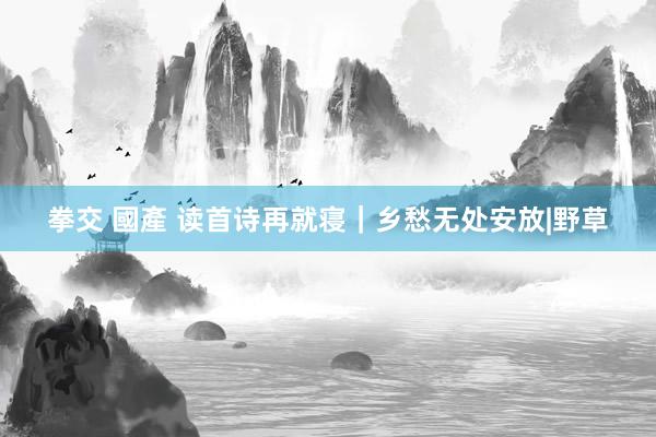 拳交 國產 读首诗再就寝｜乡愁无处安放|野草