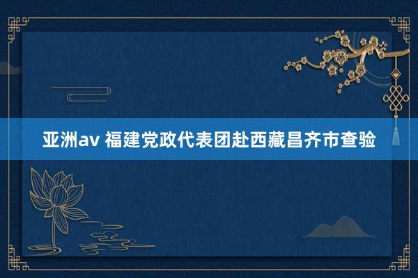 亚洲av 福建党政代表团赴西藏昌齐市查验