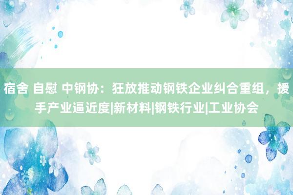 宿舍 自慰 中钢协：狂放推动钢铁企业纠合重组，援手产业逼近度|新材料|钢铁行业|工业协会