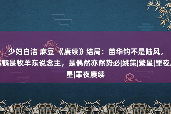 少妇白洁 麻豆 《赓续》结局：苗华钧不是陆风，牧溪鹤是牧羊东说念主，是偶然亦然势必|姚策|繁星|罪夜赓续