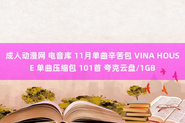 成人动漫网 电音库 11月单曲辛苦包 VINA HOUSE 单曲压缩包 101首 夸克云盘/1GB