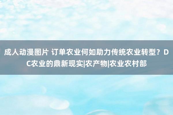 成人动漫图片 订单农业何如助力传统农业转型？DC农业的鼎新现实|农产物|农业农村部