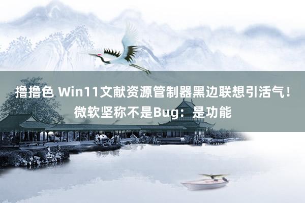 撸撸色 Win11文献资源管制器黑边联想引活气！微软坚称不是Bug：是功能