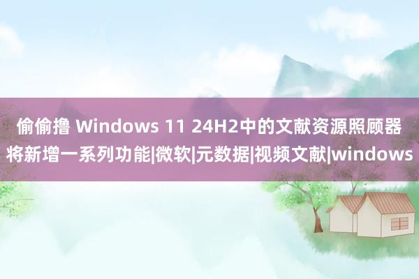 偷偷撸 Windows 11 24H2中的文献资源照顾器将新增一系列功能|微软|元数据|视频文献|windows