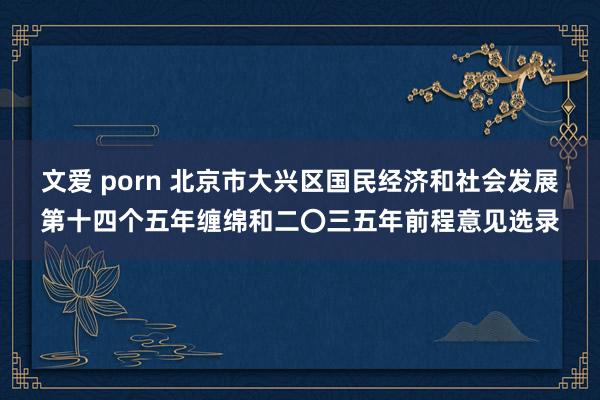 文爱 porn 北京市大兴区国民经济和社会发展第十四个五年缠绵和二〇三五年前程意见选录