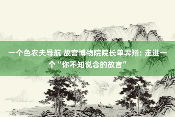 一个色农夫导航 故宫博物院院长单霁翔: 走进一个“你不知说念的故宫”